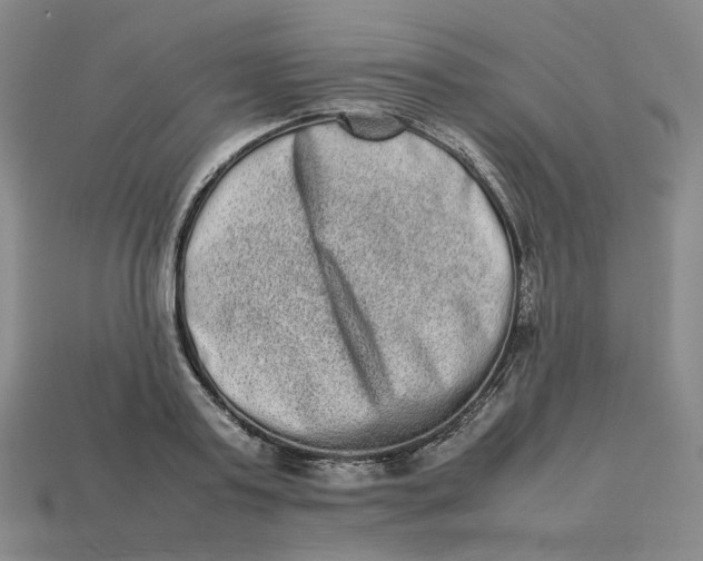 X0000113260795200910011406