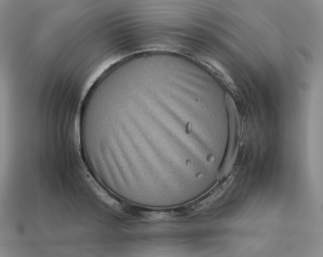 X0000113260796200910011406