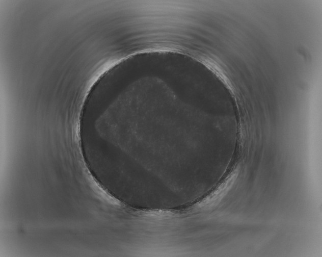 X0000113260797200910011406