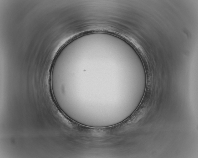 X0000113260799200910011406