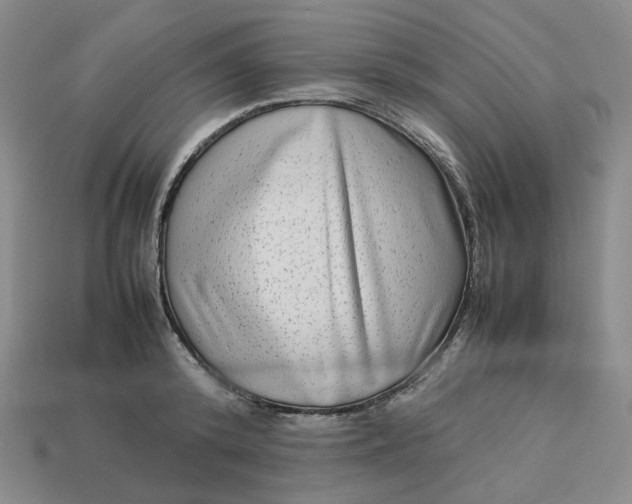 X0000113260800200910011406