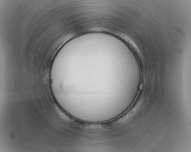 X0000113260801200910011406