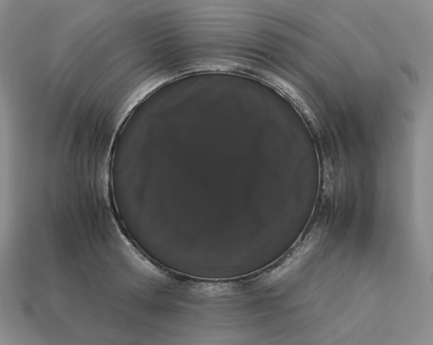 X0000113260802200910011406