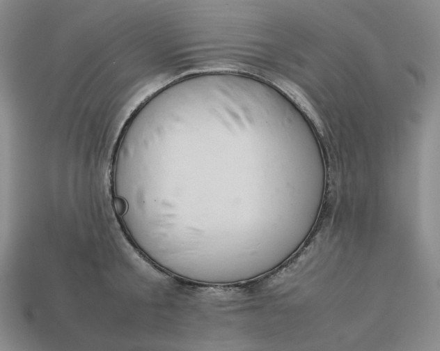 X0000113260805200910011406