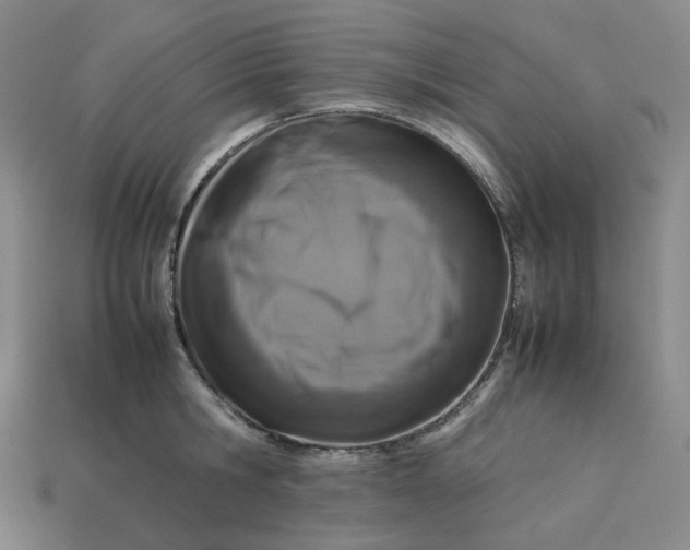 X0000113260806200910011406