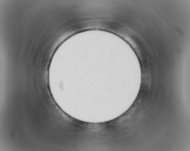 X0000113260807200910011406