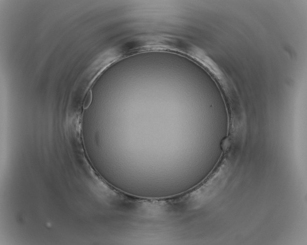 X0000113260809200910011406