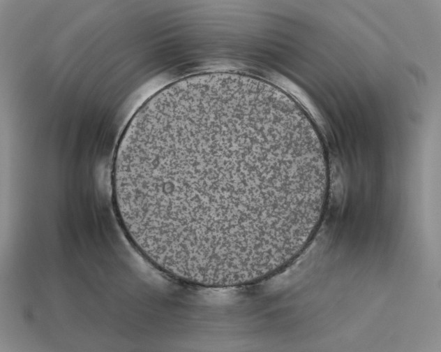 X0000113260810200910011406