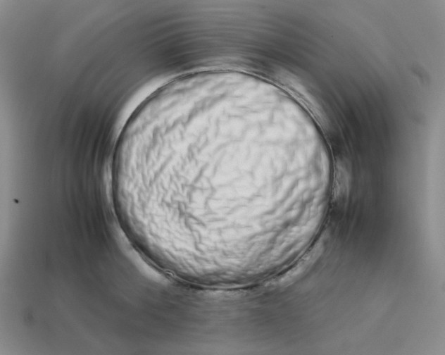 X0000113260812200910011406