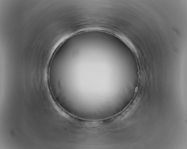 X0000113260813200910011406