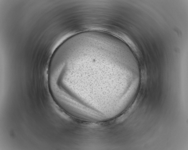 X0000113260814200910011406