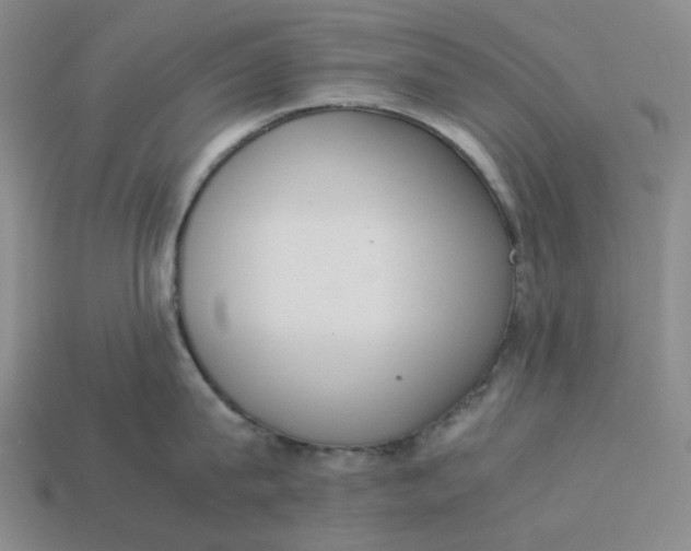 X0000113260815200910011406