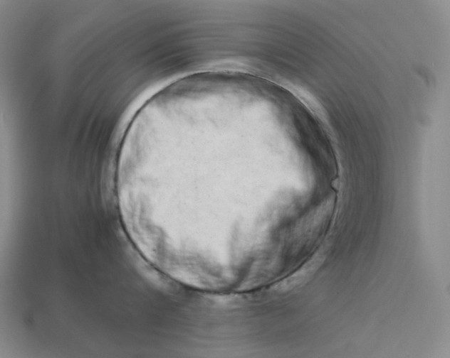 X0000113260816200910011406