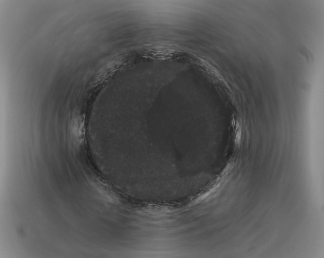 X0000113260818200910011405