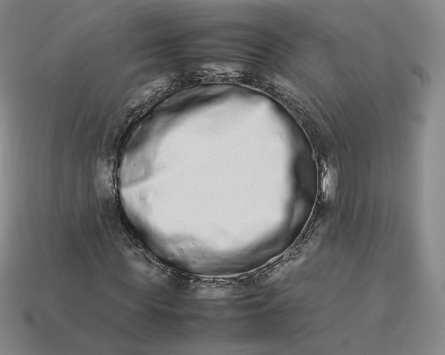 X0000113260819200910011405