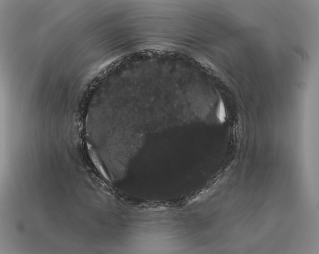 X0000113260822200910011405