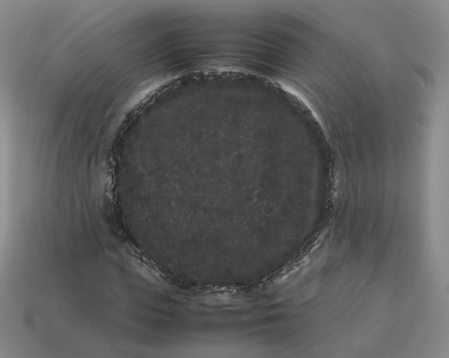 X0000113260823200910011405