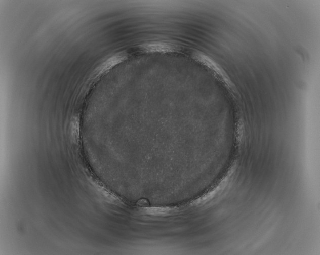 X0000113260825200910011405