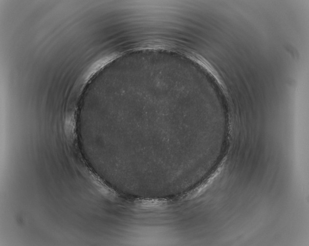 X0000113260826200910011405