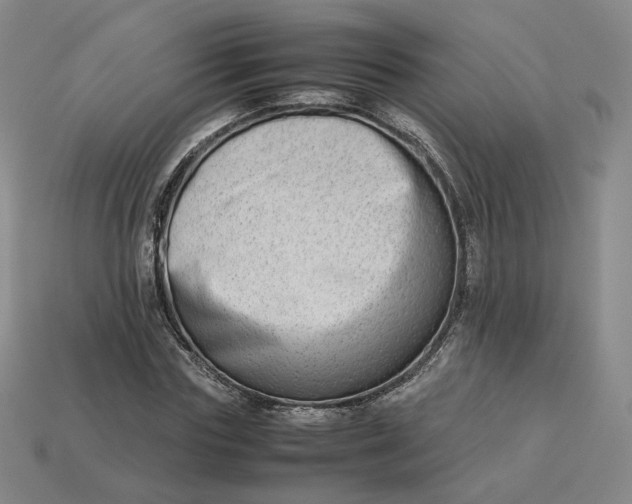 X0000113260827200910011405