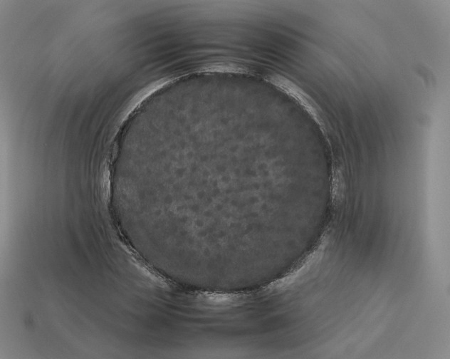 X0000113260829200910011406