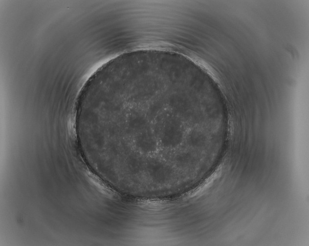 X0000113260830200910011406