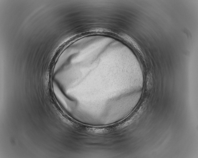 X0000113260831200910011406