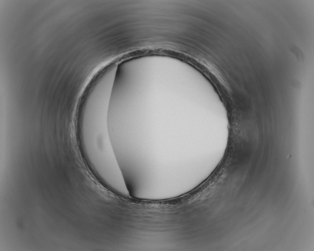 X0000113260832200910011406