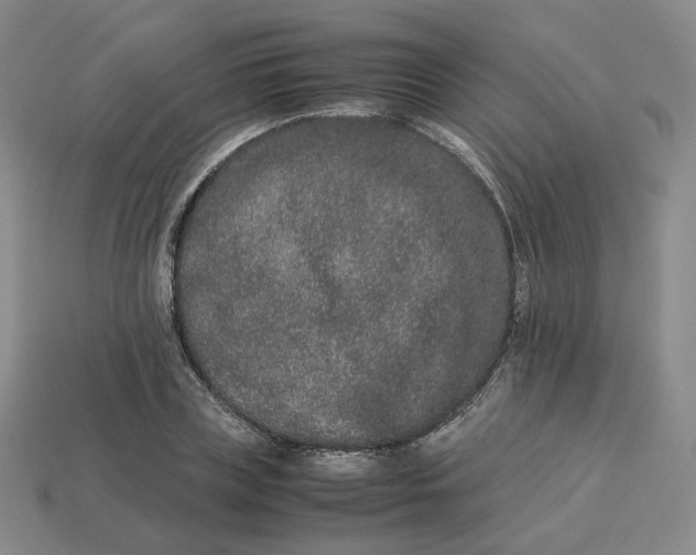 X0000113260835200910011406