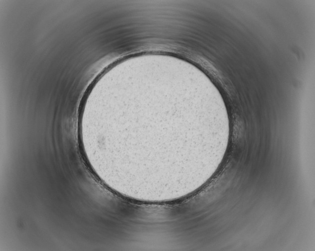 X0000113260836200910011406