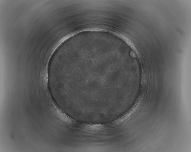 X0000113260837200910011406