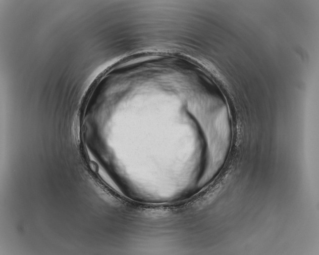 X0000113260838200910011406