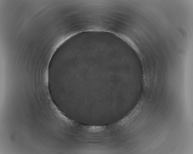 X0000113260839200910011406