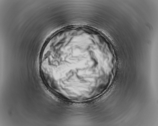 X0000113260840200910011406