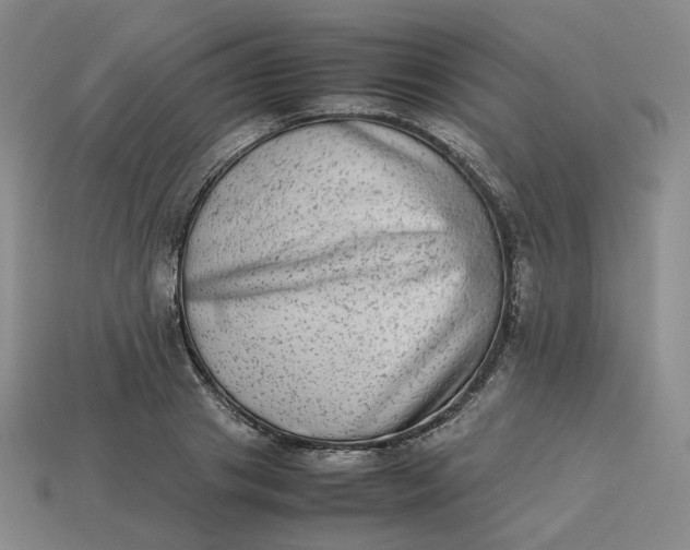 X0000113260841200910011406