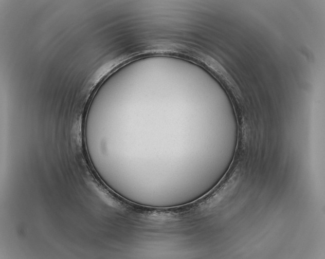 X0000113260842200910011406