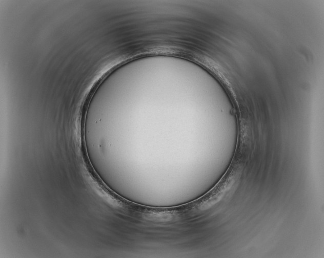 X0000113260843200910011406