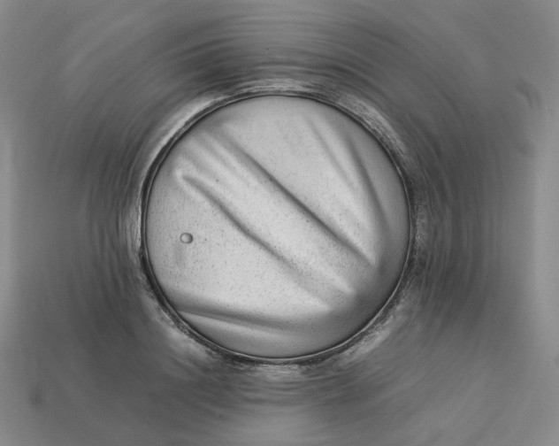 X0000113260844200910011406