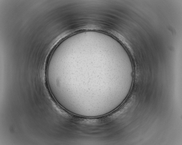 X0000113260845200910011406