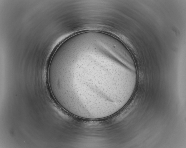 X0000113260846200910011406