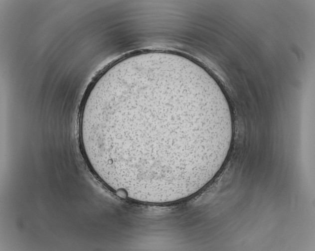 X0000113260848200910011406