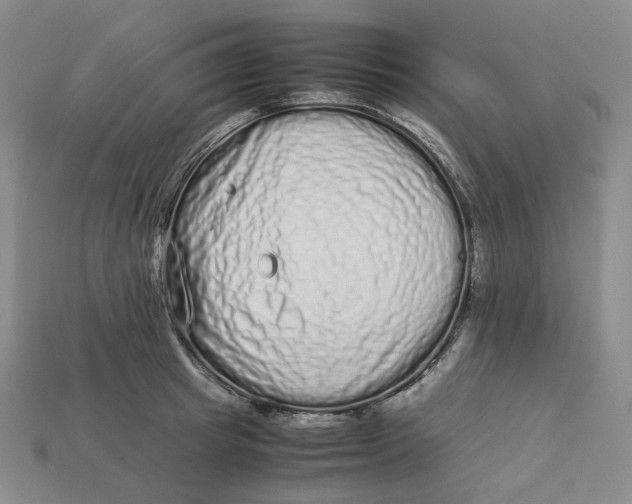 X0000113260849200910011406