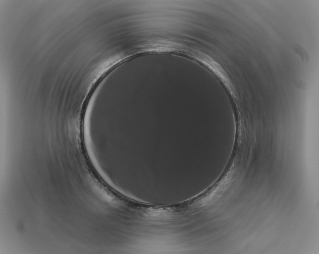 X0000113260850200910011406