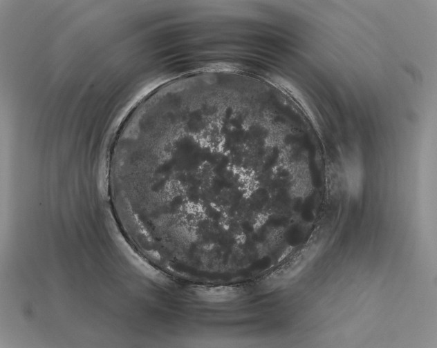 X0000113260851200910011406