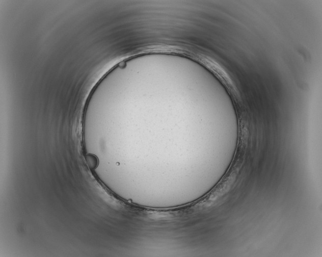 X0000113260852200910011406