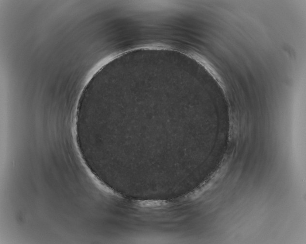 X0000113260853200910011406