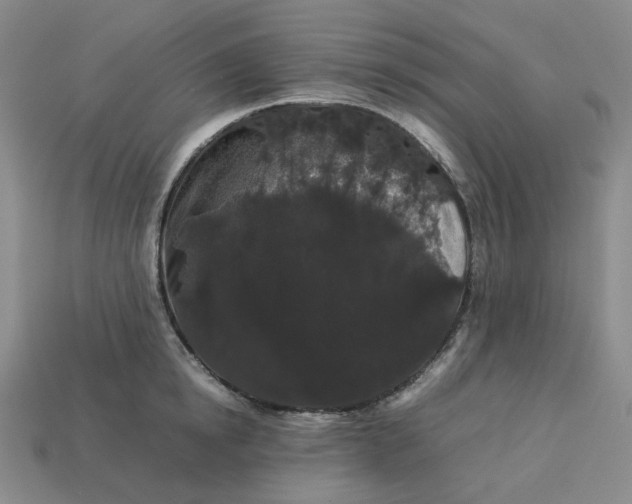 X0000113260854200910011406