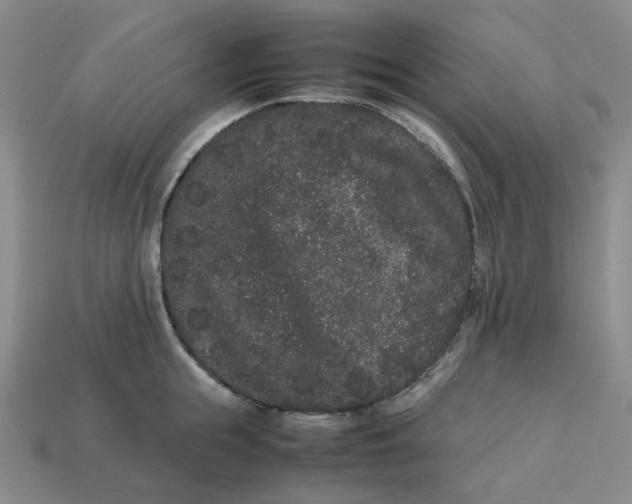 X0000113260855200910011406