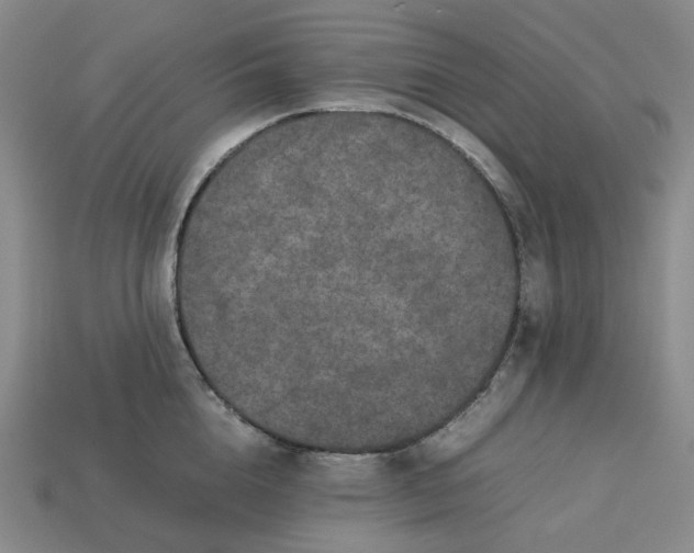 X0000113260856200910011406