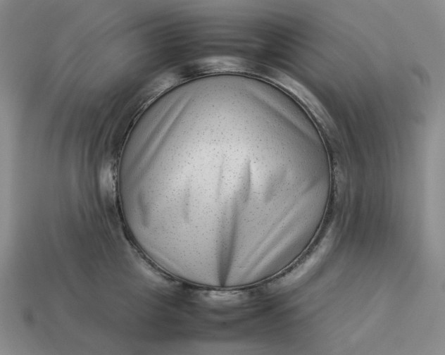 X0000113260857200910011406